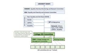 Structure diagram of the network of EDI committees