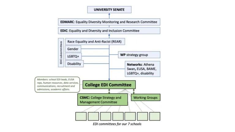Structure diagram of the network of EDI committees