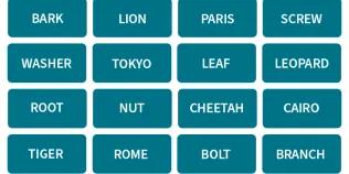 4 columns and lines of words against a blue background. 