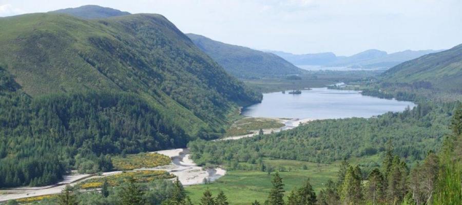 Centre of expertise to tackle forest challenges