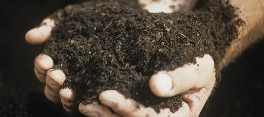 Soil