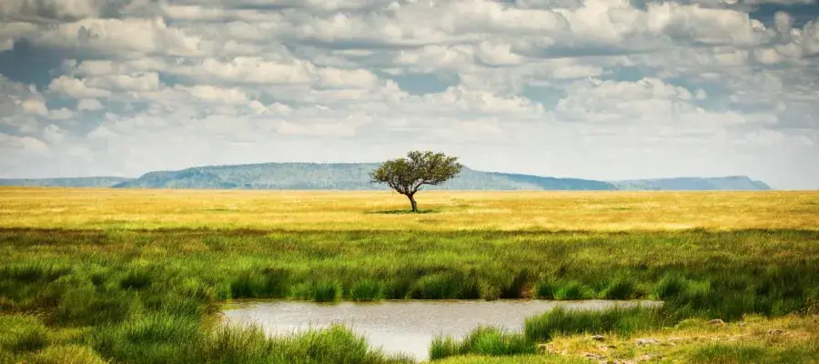 tanzania national park