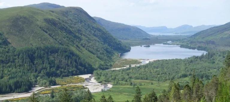 Centre of expertise to tackle forest challenges