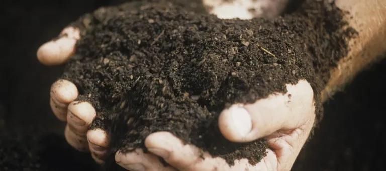 Soil