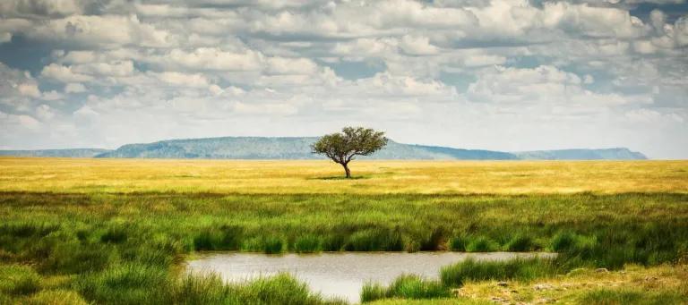 tanzania national park