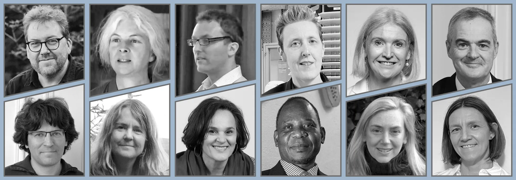 a collage of the recent fellows