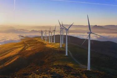 Wind farm 